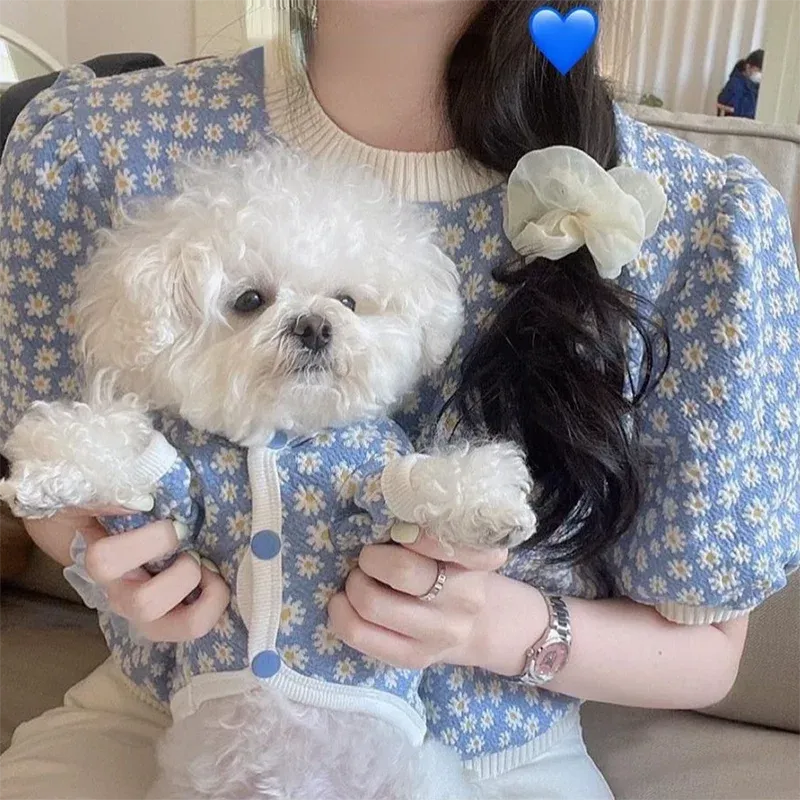 [Best for IG TT] Daisy Delight Lace Pet Outfit